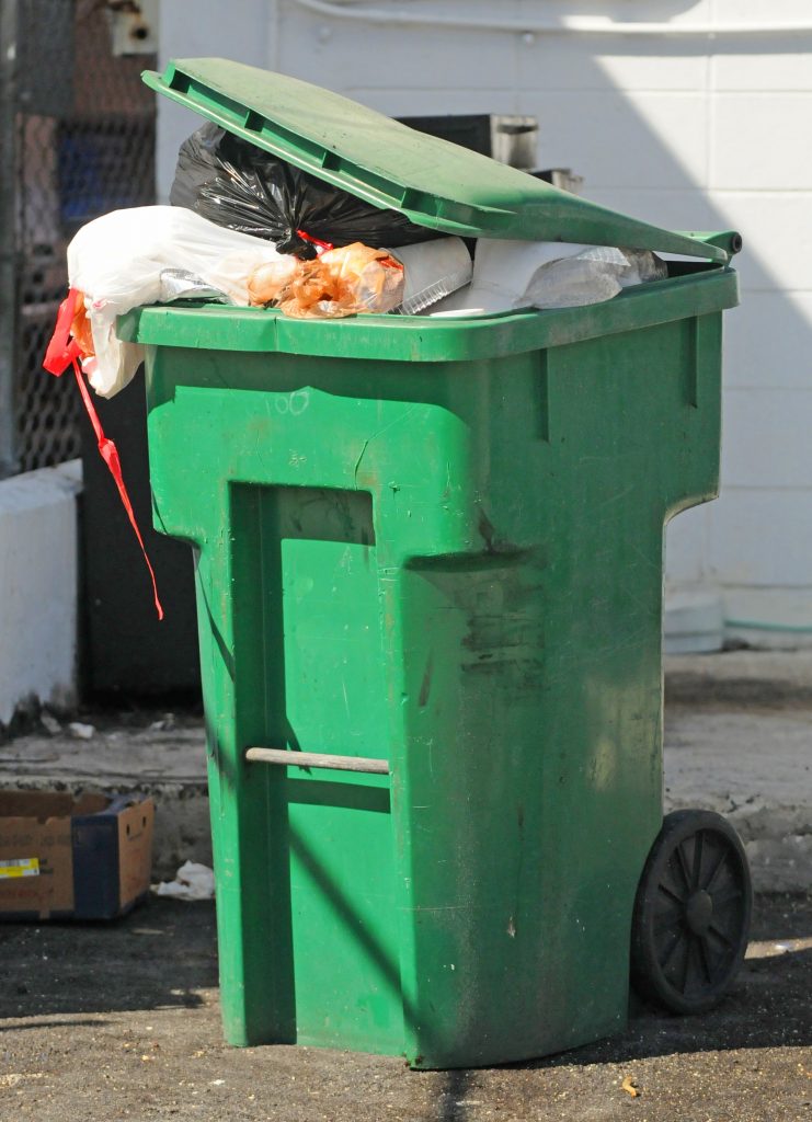 Garbage Can Protection for Nuisance Wildlife Raccoon Removal Louisville