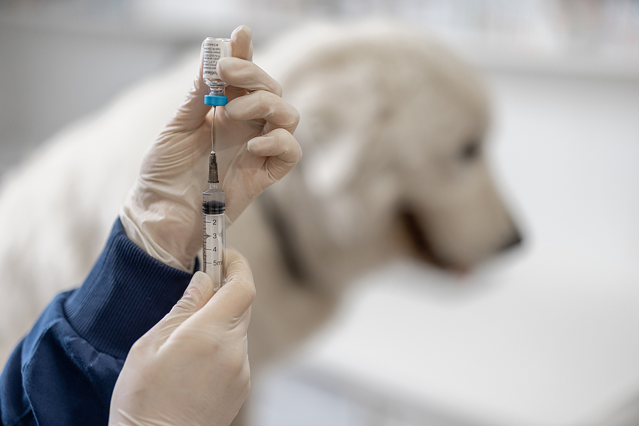 Protection Against Wildlife Diseases in Kentucky